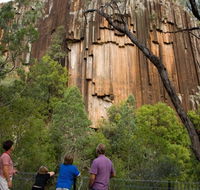 Sawn Rocks walking track - Accommodation Sunshine Coast