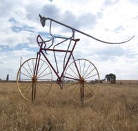 Animals on Bikes - Accommodation Sunshine Coast