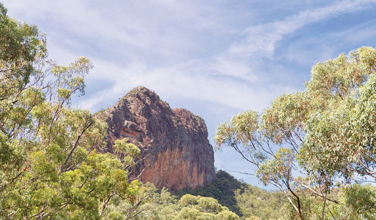 Bullawa Creek NSW Accommodation Sunshine Coast