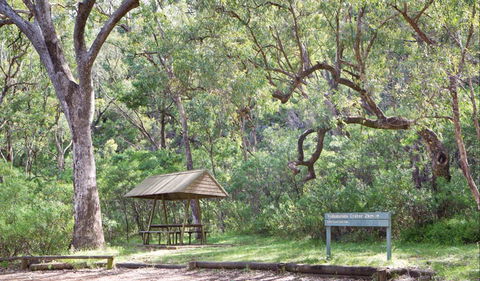 Green Camp - Accommodation Sunshine Coast 1