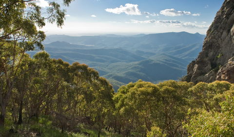 Kaputar Scenic Drive - Accommodation Sunshine Coast 1