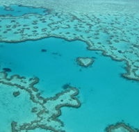Heart Reef - Accommodation Sunshine Coast