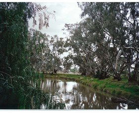 Henty NSW Accommodation Sunshine Coast