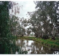 Henty Government Dam Nature Reserve - Accommodation Sunshine Coast