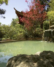 Botanic Gardens Wagga Wagga - Accommodation Sunshine Coast 2