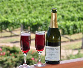 Gisborne Peak Winery - Accommodation Sunshine Coast 2