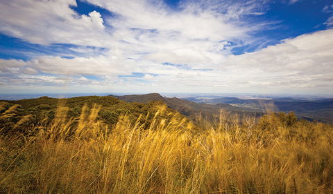 Mount Kaputar Summit Walk - Accommodation Sunshine Coast 1