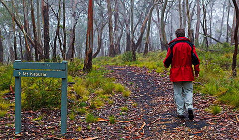 Mount Kaputar Summit Walk - Accommodation Sunshine Coast 2