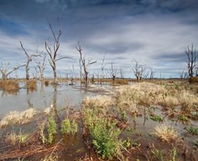 Winton Wetlands Reserve - Accommodation Sunshine Coast 4