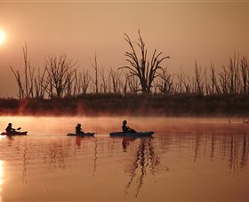 Winton Wetlands Reserve - Accommodation Sunshine Coast 7
