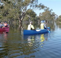 Doodle Cooma Swamp - Accommodation Sunshine Coast