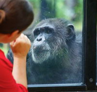 The Rockhampton Zoo - Accommodation Sunshine Coast