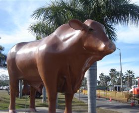 Rockhampton Bull Statues - Accommodation Sunshine Coast 3
