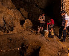 Capricorn Caves - Accommodation Sunshine Coast 2