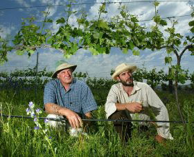 Rosnay Organic Farm And Vineyard - Accommodation Sunshine Coast 1