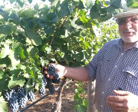 Rosnay Organic Farm And Vineyard - Accommodation Sunshine Coast 6