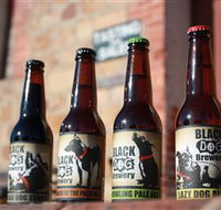 Black Dog Brewery - Accommodation Sunshine Coast