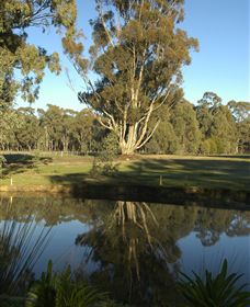 Benalla Golf Club - Accommodation Sunshine Coast 5