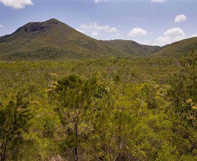 Kutini-Payamu (Iron Range) National Park (CYPAL) - Accommodation Sunshine Coast 0