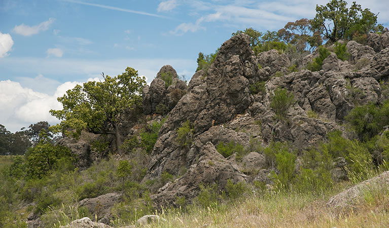 Lidster NSW Accommodation Sunshine Coast