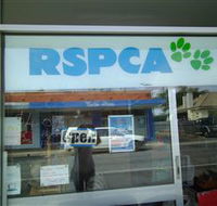 R.S.P.C.A Opportunity Shop - Accommodation Sunshine Coast