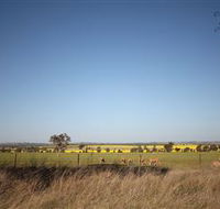 Cootamundra Bird Walk - Accommodation Sunshine Coast