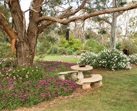 Wombat Heights Orchard And Grog Shed - Accommodation Sunshine Coast 1