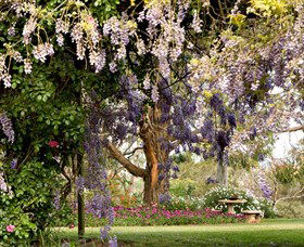 Wombat Heights Orchard And Grog Shed - Accommodation Sunshine Coast 2