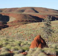 Camel Trail Millstream-Chichester National Park - Accommodation Sunshine Coast