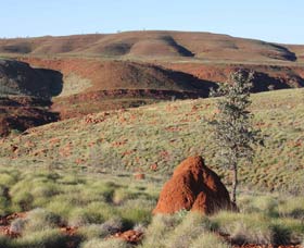 Camel Trail, Millstream-Chichester National Park - Accommodation Sunshine Coast 0