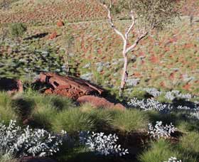 Camel Trail, Millstream-Chichester National Park - Accommodation Sunshine Coast 2