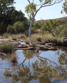Camel Trail, Millstream-Chichester National Park - Accommodation Sunshine Coast 3