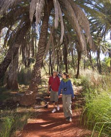 Millstream Chichester National Park - Accommodation Sunshine Coast 2