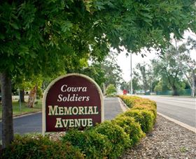 Memorial Avenue In Cowra - Accommodation Sunshine Coast 0