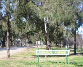 Memorial Avenue In Cowra - Accommodation Sunshine Coast 1