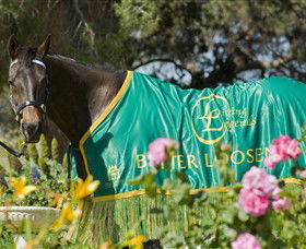 Living Legends: The International Home Of Rest For Champion Horses - Accommodation Sunshine Coast 0