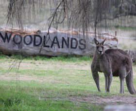Living Legends: The International Home Of Rest For Champion Horses - Accommodation Sunshine Coast 1
