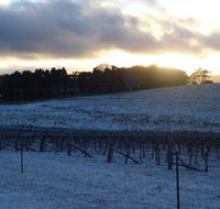 Charles Sturt University Winery - Accommodation Sunshine Coast