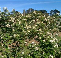 Huntley Berry Farm - Accommodation Sunshine Coast