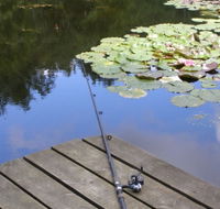 Ophir Reserve - Accommodation Sunshine Coast