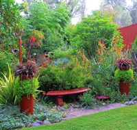 Out of Town Nursery and Humming Garden - Accommodation Sunshine Coast