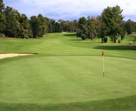 Commercial Golf Course - Accommodation Sunshine Coast 1