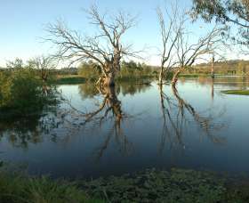 Wonga Wetlands - Accommodation Sunshine Coast 4