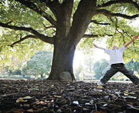 Albury Botanic Gardens - Accommodation Sunshine Coast 1