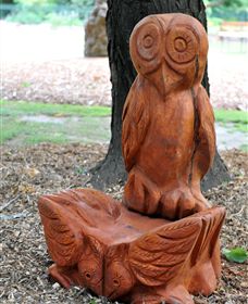 Albury Botanic Gardens - Accommodation Sunshine Coast 7