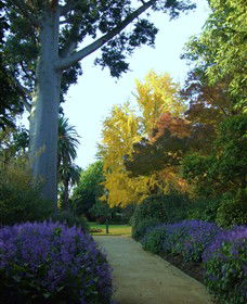 Albury Botanic Gardens - Accommodation Sunshine Coast 4
