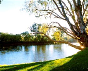 Albury - Murray River Precinct - Accommodation Sunshine Coast 0