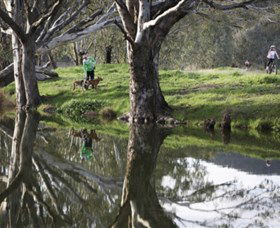 Albury - Murray River Precinct - Accommodation Sunshine Coast 3