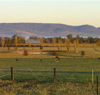 Holbrook Landcare Self-Drive Eco Tour - Accommodation Sunshine Coast