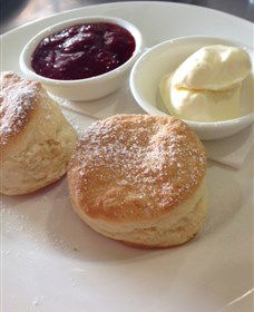 High Valley Cheese Co - Accommodation Sunshine Coast 4